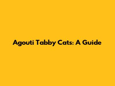 Agouti Tabby Cats: A Guide