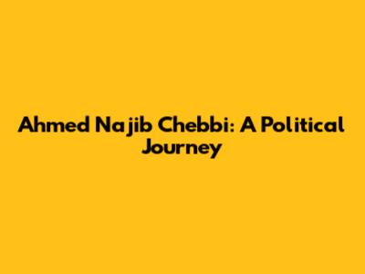 Ahmed Najib Chebbi: A Political Journey