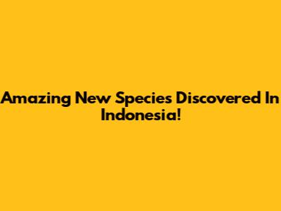 Amazing New Species Discovered In Indonesia!