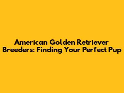 American Golden Retriever Breeders: Finding Your Perfect Pup