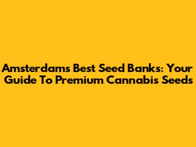 Amsterdam's Best Seed Banks: Your Guide To Premium Cannabis Seeds