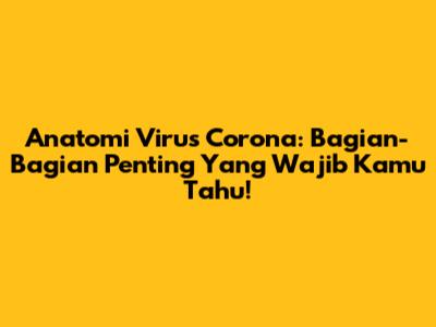 Anatomi Virus Corona: Bagian-Bagian Penting Yang Wajib Kamu Tahu!