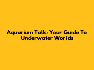 Aquarium Talk: Your Guide To Underwater Worlds