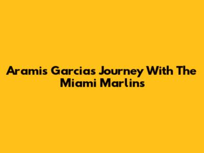 Aramis Garcia's Journey With The Miami Marlins