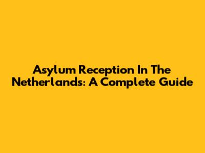 Asylum Reception In The Netherlands: A Complete Guide
