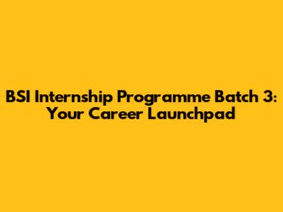 BSI Internship Programme Batch 3: Your Career Launchpad