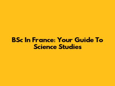 BSc In France: Your Guide To Science Studies