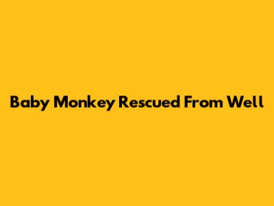 Baby Monkey Rescued From Well