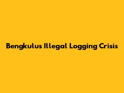 Bengkulu's Illegal Logging Crisis