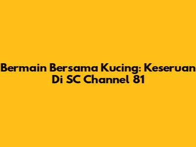 Bermain Bersama Kucing: Keseruan Di SC Channel 81