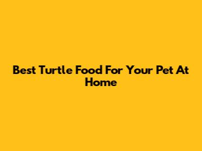 Best Turtle Food For Your Pet At Home
