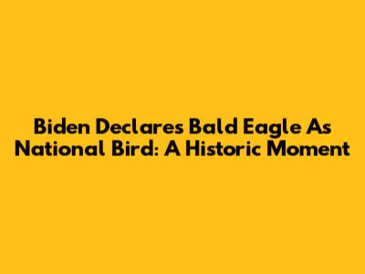 Biden Declares Bald Eagle As National Bird: A Historic Moment
