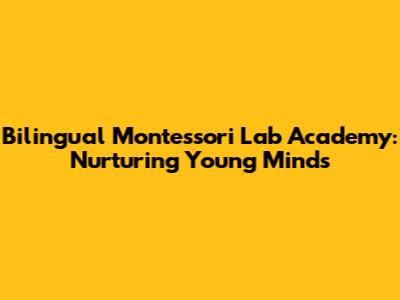 Bilingual Montessori Lab Academy: Nurturing Young Minds
