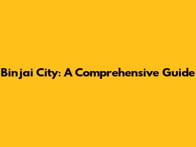 Binjai City: A Comprehensive Guide