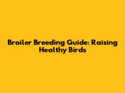 Broiler Breeding Guide: Raising Healthy Birds