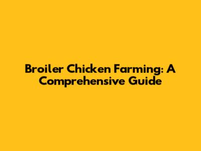 Broiler Chicken Farming: A Comprehensive Guide