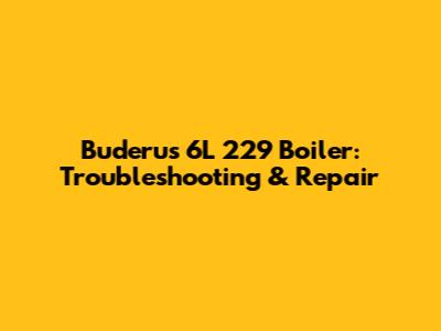 Buderus 6L 229 Boiler: Troubleshooting & Repair