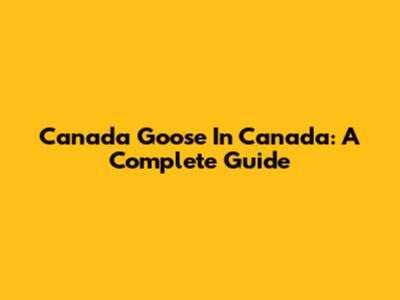 Canada Goose In Canada: A Complete Guide