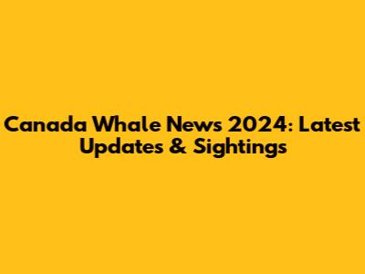 Canada Whale News 2024: Latest Updates & Sightings