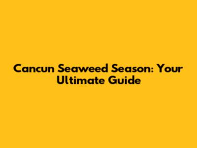Cancun Seaweed Season: Your Ultimate Guide