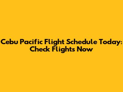 Cebu Pacific Flight Schedule Today: Check Flights Now