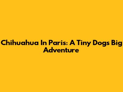 Chihuahua In Paris: A Tiny Dog's Big Adventure