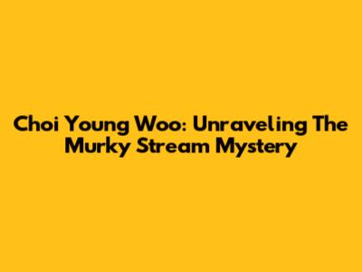 Choi Young Woo: Unraveling The Murky Stream Mystery