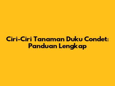 Ciri-Ciri Tanaman Duku Condet: Panduan Lengkap