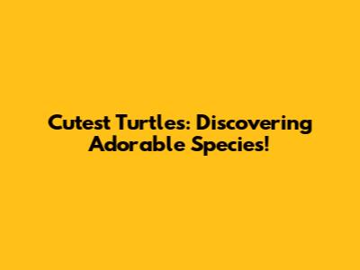 Cutest Turtles: Discovering Adorable Species!