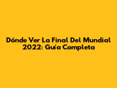 Dónde Ver La Final Del Mundial 2022: Guía Completa