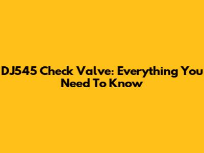 DJ545 Check Valve: Everything You Need To Know
