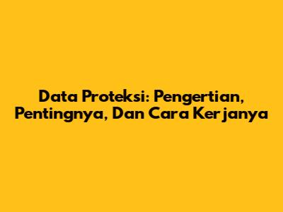 Data Proteksi: Pengertian, Pentingnya, Dan Cara Kerjanya