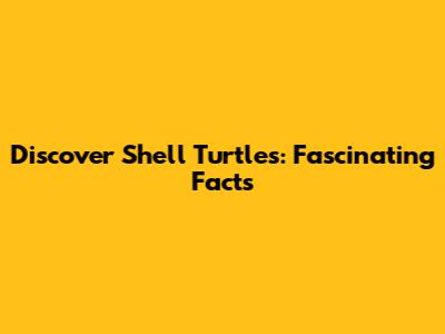 Discover Shell Turtles: Fascinating Facts