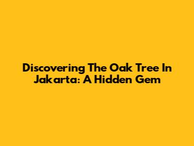 Discovering The Oak Tree In Jakarta: A Hidden Gem