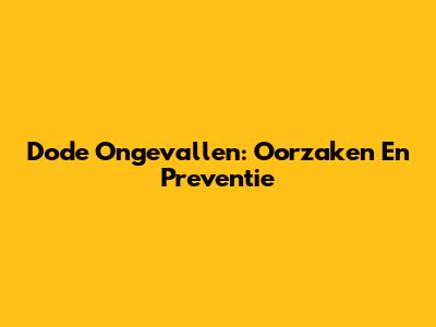 Dode Ongevallen: Oorzaken En Preventie