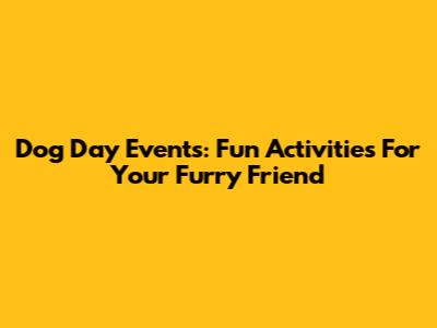Dog Day Events: Fun Activities For Your Furry Friend