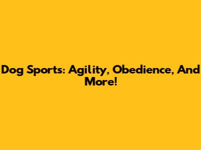 Dog Sports: Agility, Obedience, And More!
