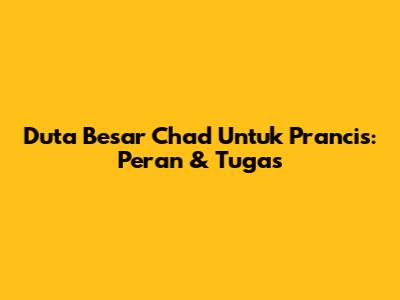 Duta Besar Chad Untuk Prancis: Peran & Tugas