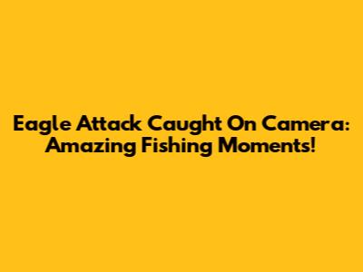 Eagle Attack Caught On Camera: Amazing Fishing Moments!