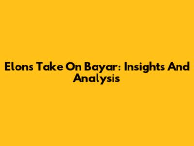 Elon's Take On Bayar: Insights And Analysis