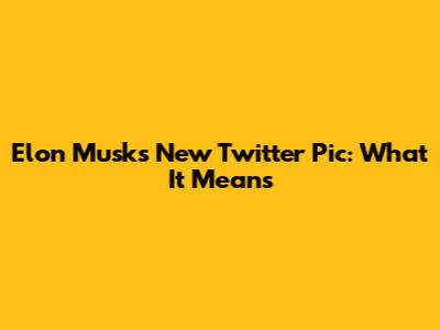 Elon Musk's New Twitter Pic: What It Means
