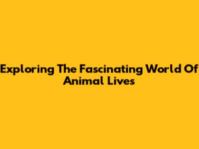 Exploring The Fascinating World Of Animal Lives