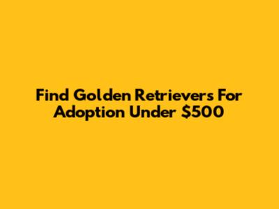 Find Golden Retrievers For Adoption Under $500