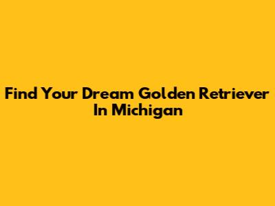 Find Your Dream Golden Retriever In Michigan