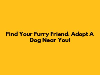 Find Your Furry Friend: Adopt A Dog Near You!