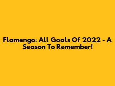 Flamengo: All Goals Of 2022 - A Season To Remember!