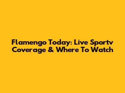 Flamengo Today: Live Sportv Coverage & Where To Watch