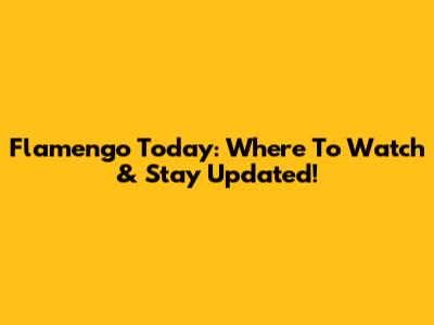 Flamengo Today: Where To Watch & Stay Updated!