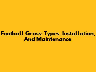 Football Grass: Types, Installation, And Maintenance
