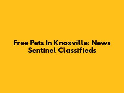 Free Pets In Knoxville: News Sentinel Classifieds